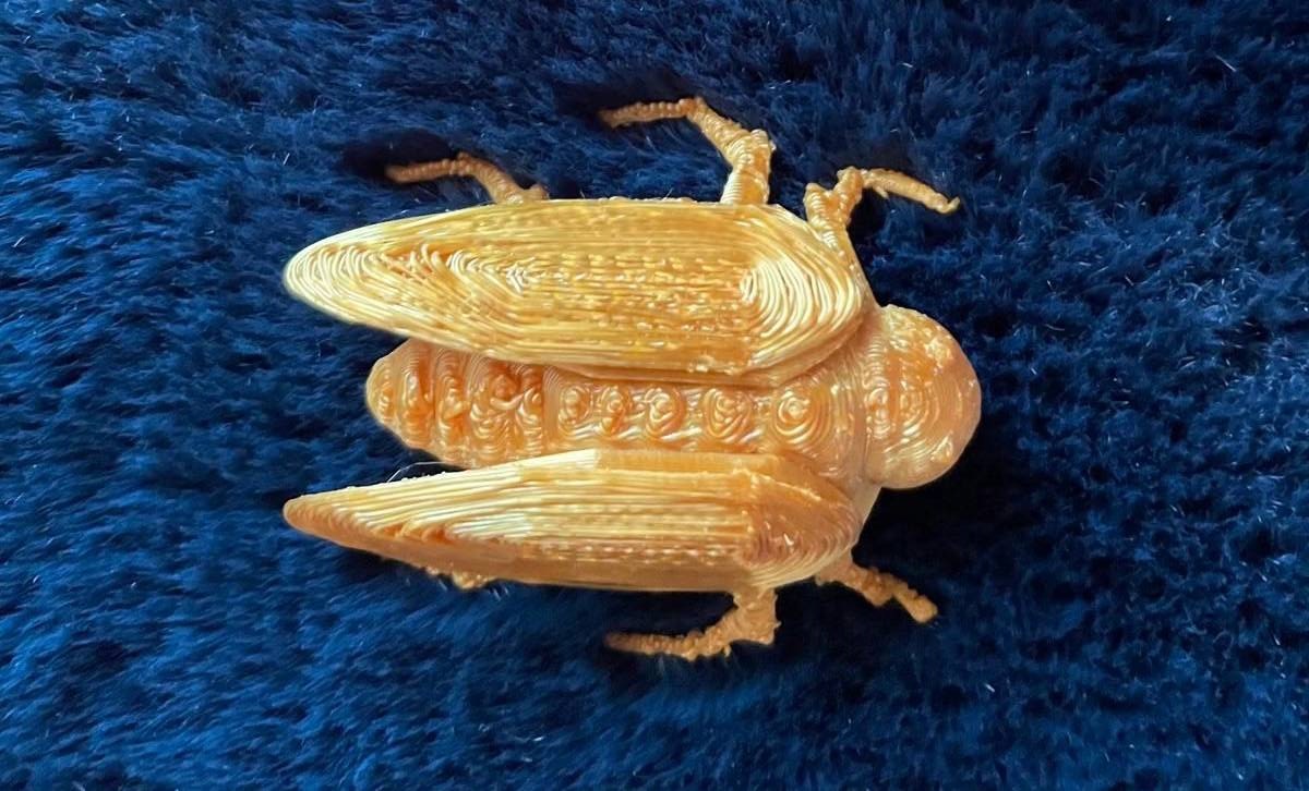 The top view of a cicada 3D printed with golden filament.